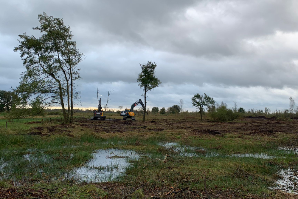Natuurherstel laggzone