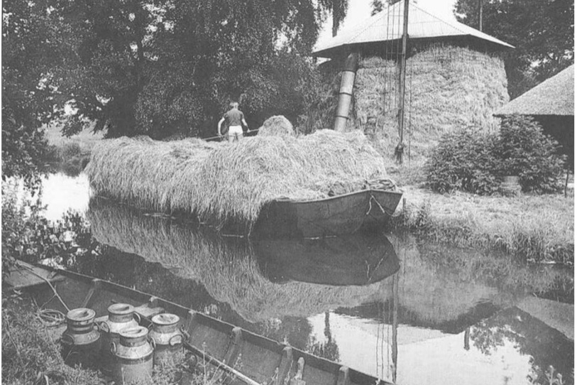 Andries Eker, die het hooi vanaf  het water op de hooiberg laadt