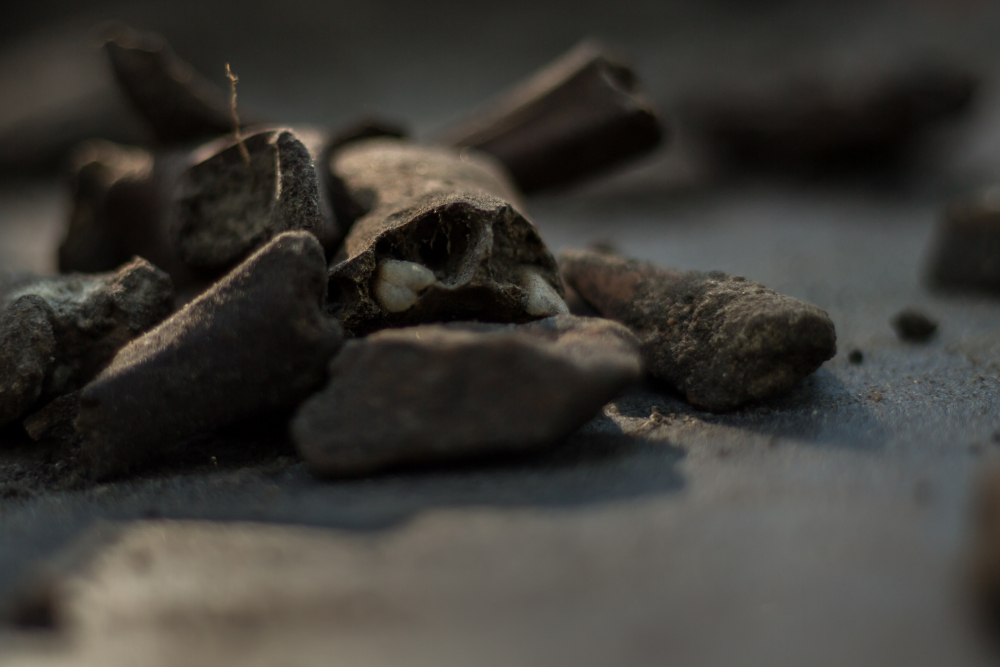 Vondst Hunenborg, botten en stenen resten