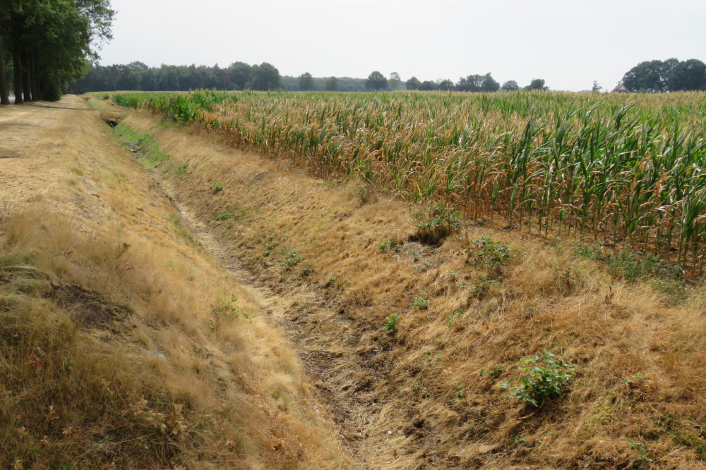 Landbouw met schade door droogte