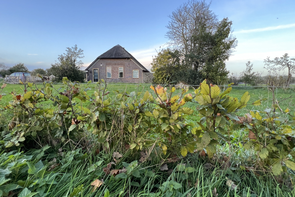 Buurtschap Elshof Wijhe