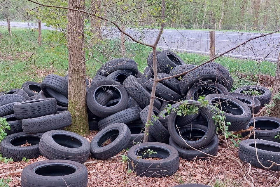 WhatsApp Image 2026-03-31 at 10.39.20 (2)