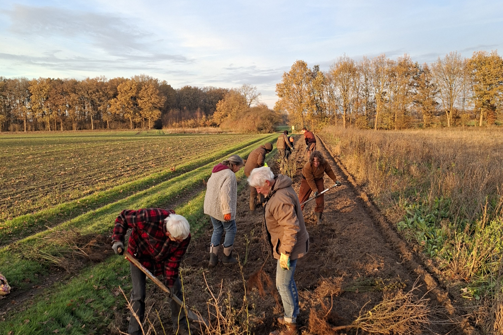 Plantdag Landgoed Junne
