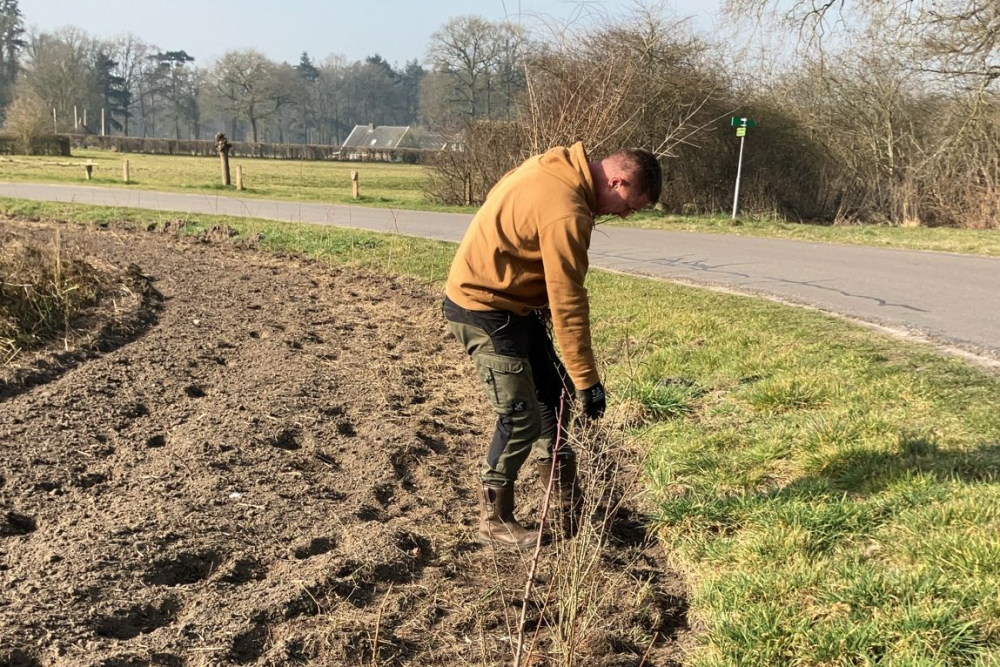 plantwerk bij Antuma nr 19