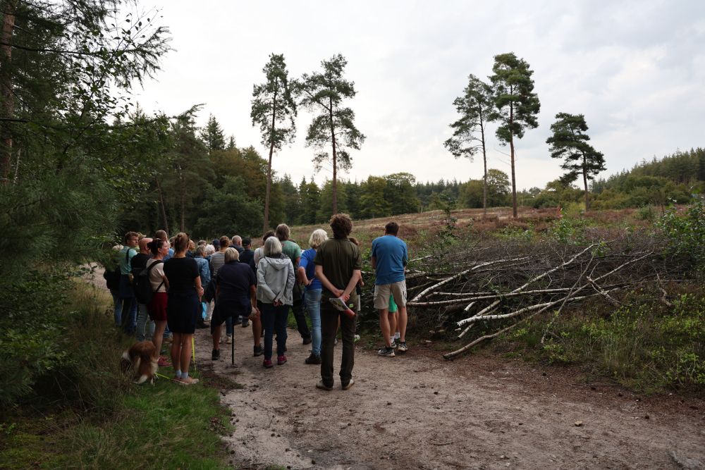 N2000 excursie Lemelerberg 15092026 (17)
