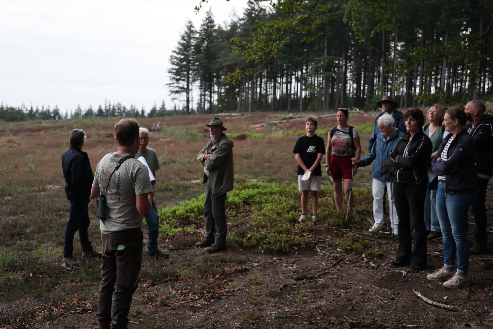 N2000 excursie Lemelerberg 15092026 (57)