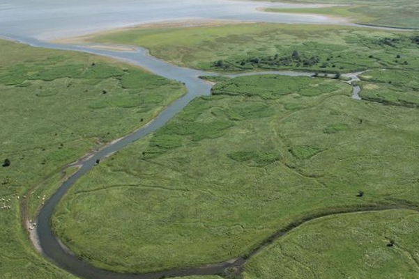 Zeekleilandschap, referentiebeeld deltagebied