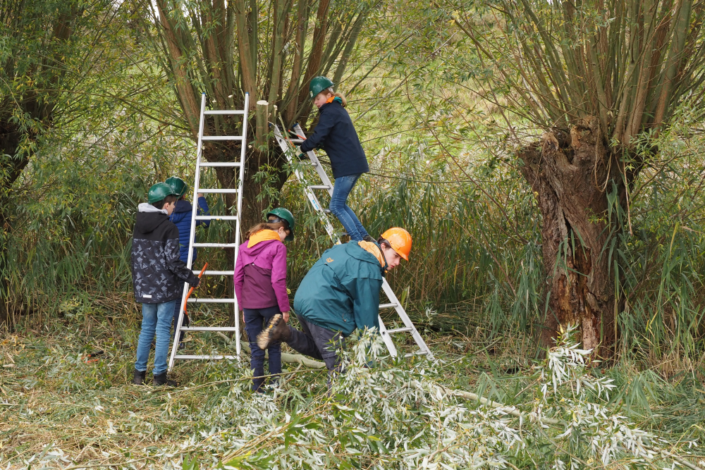 Natuurwerkdag '23 IJssel