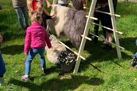 Snuffelen lente, Moniek (2)