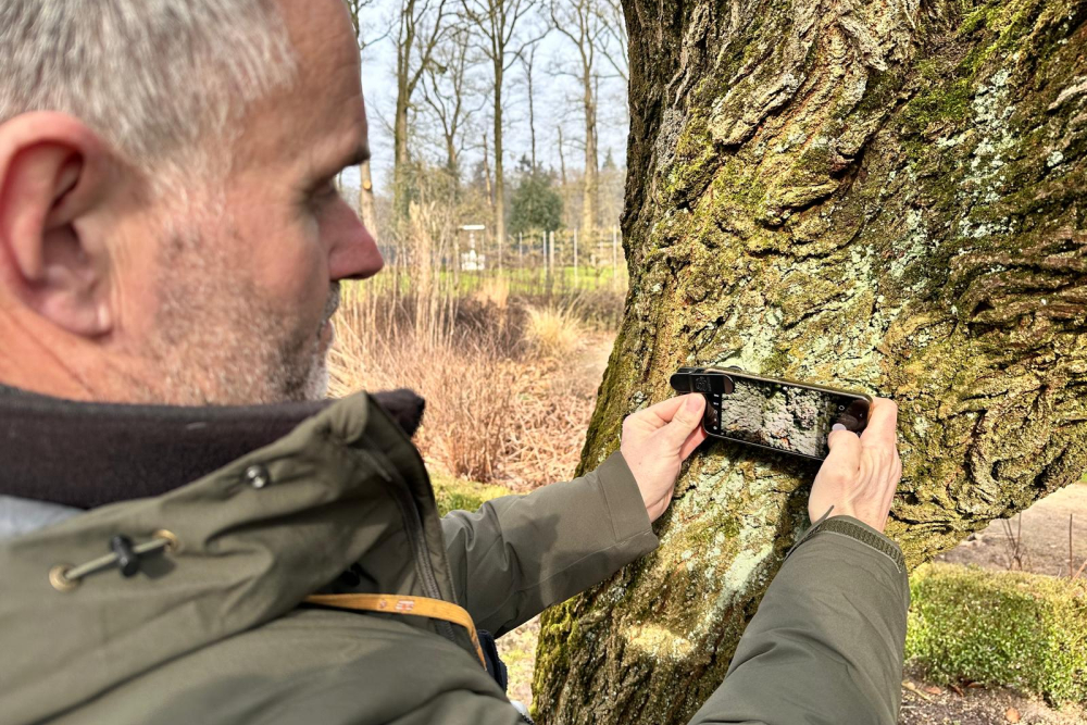 WhatsApp Image 2025-02-20 at 18.12.19