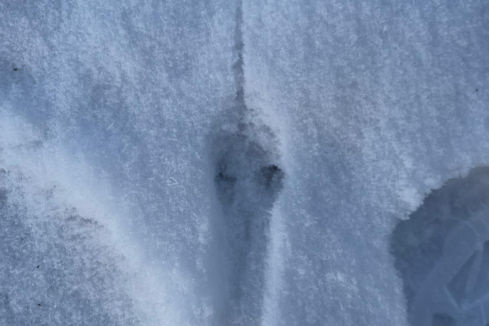 WhatsApp Image 2026-01-09 at 13.42.50 (2)