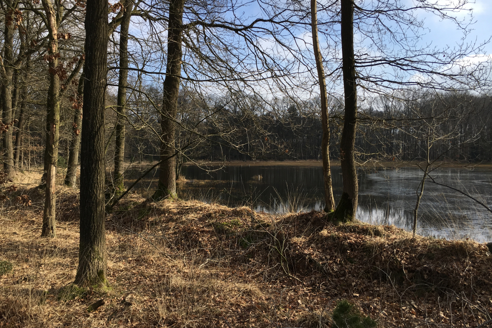 Vloeideide Lonnekermeer