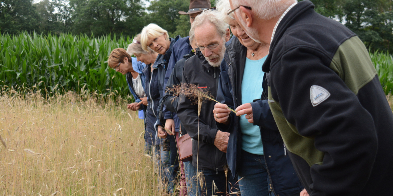 Excursie Dal van de Mosbeek