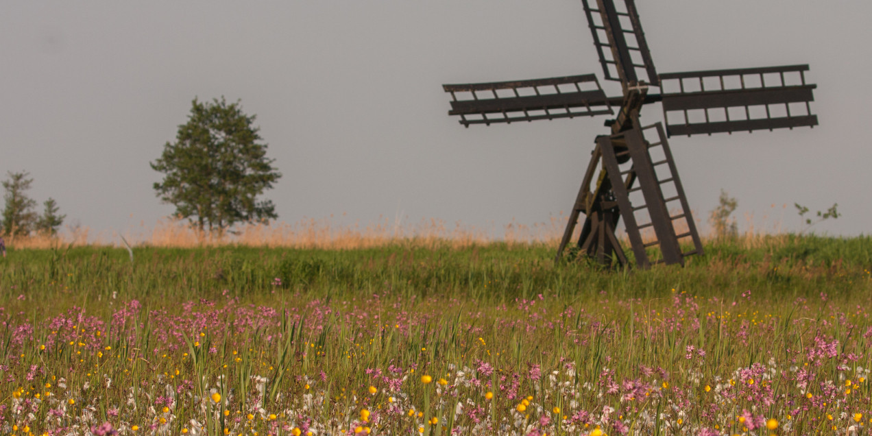 Paaltjasker Sint Jansklooster, Annie Keizer