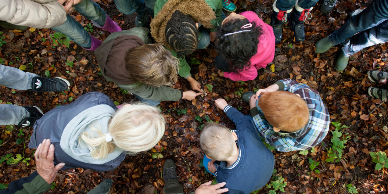 Kinderteam paddenstoelen ontdekken 