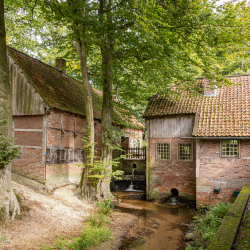 Ensemble Watermolen van Bels 11600