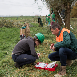 Vrijwilligers op Landgoed Soeslo - Natuurwerkdag 2015