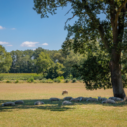 Droogte in Salland