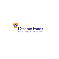 logo Dinamofonds - bewerkt KT-01-01
