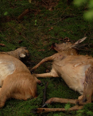 Landschap Overijssel | Elke vierkante meter telt | Landschap Overijssel