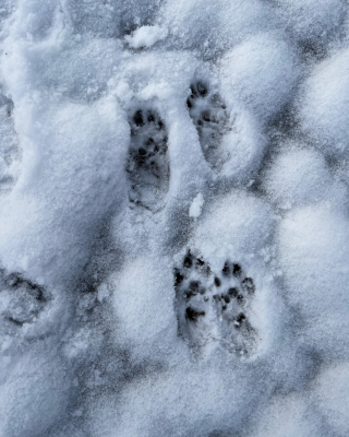 WhatsApp Image 2026-01-09 at 13.42.49