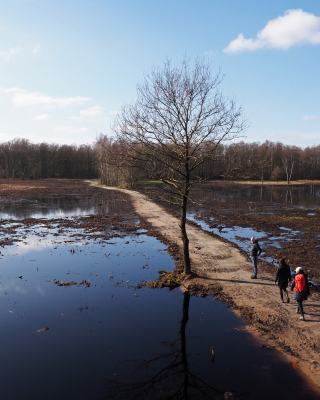 hoog water 