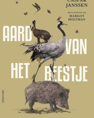 aard beestje 2