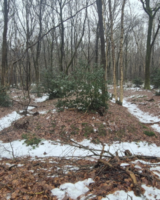 Rabatten op Landgoed de Horte
