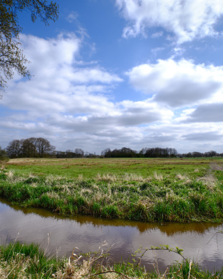 De Reest, Shutterstock