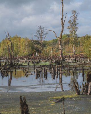 Uitzicht retentiebekkens in Hündfelder Moor_Milou Sijtsma