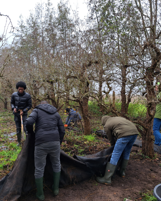 Vluchtelingen doen vrijwilligwerk