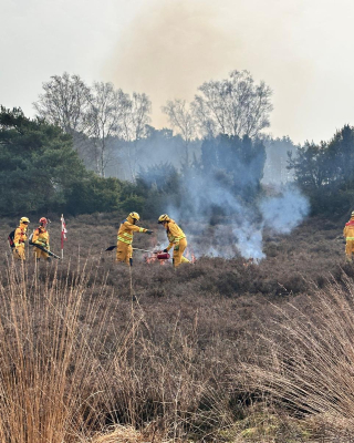 WhatsApp Image 2026-03-07 at 11.34.14