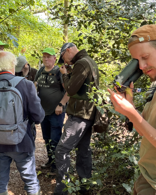 Velddag Wilde bomen & struiken Reestdal, determinatie