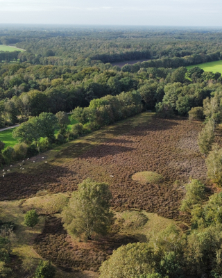 dronebeelden Manderheide_ fotograaf (7)-