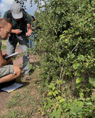 Vrijwilligers Wilde bomen & struiken, velddag Beerze