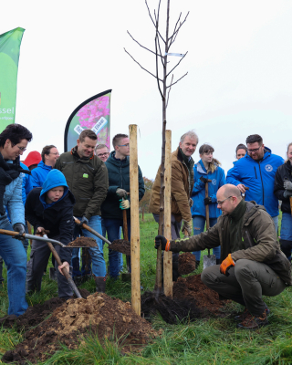 Persfoto Boomdeeldag 15-111600