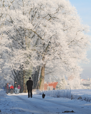 LO21587-Maarten van Geelen