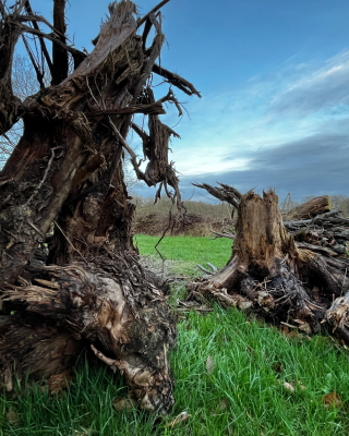 WhatsApp Image 2025-12-18 at 16.59.46