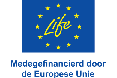NL V Medegefinancierd door de Europese Unie_POS