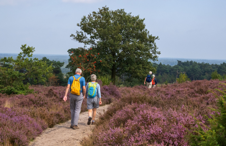 Lemelerberg, Nico Kloek