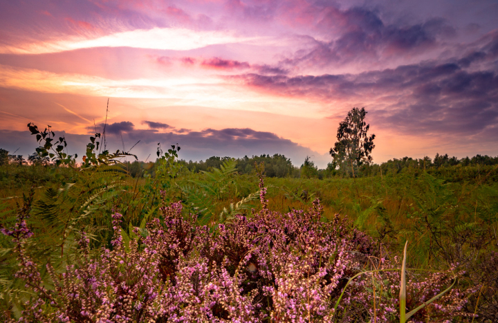 lo06143-rudolfo dalamicio1600