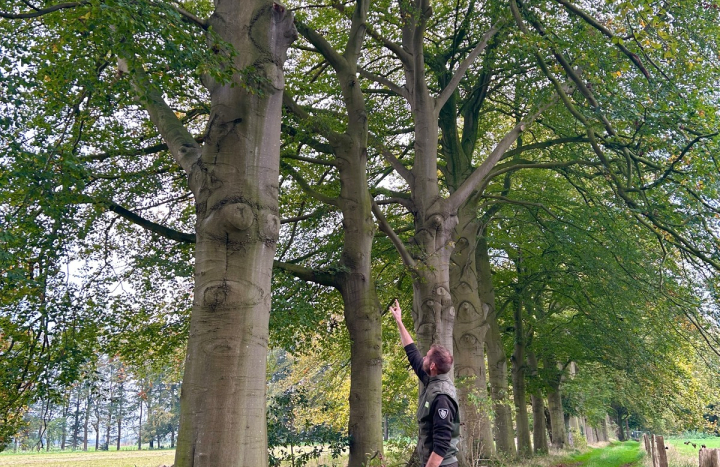 Jeroen Buunen bij beukenlaan Soeslo1600