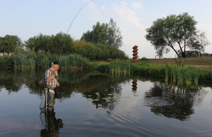 Vliegvissen in de Doorbraak