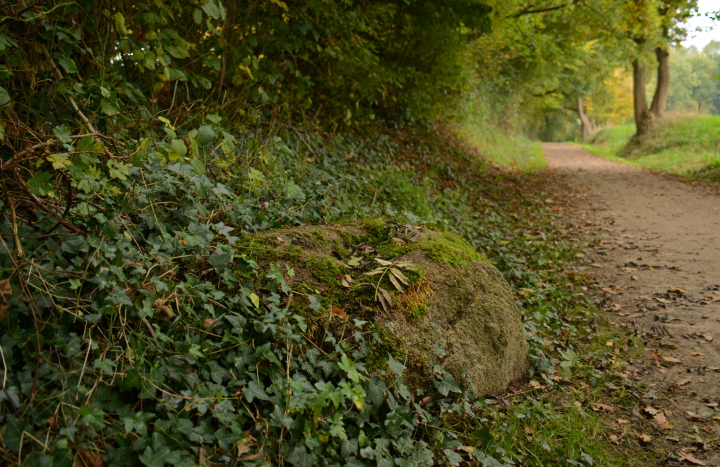 Voorbeeld van een markesteen