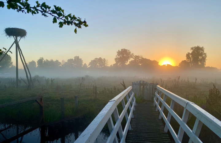 Zonsopkomst IJhorst Chantal Wachtmeester