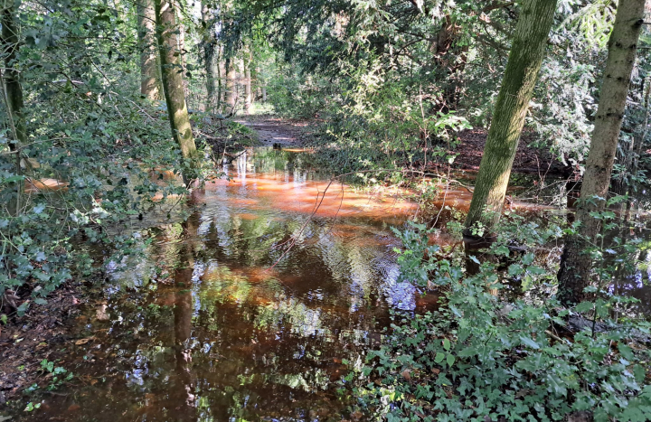 natuur onder water