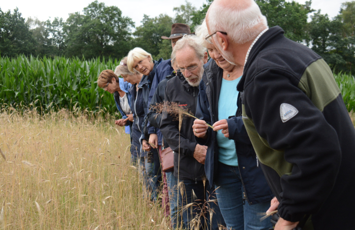 Excursie Dal van de Mosbeek