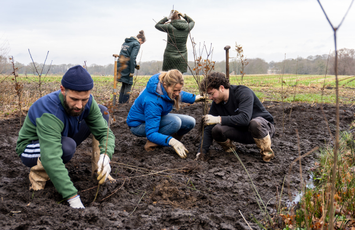 Trees for All - Landschap Overijssel (230161)1600