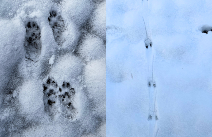 Zonder titel (1500 x 1000 px)