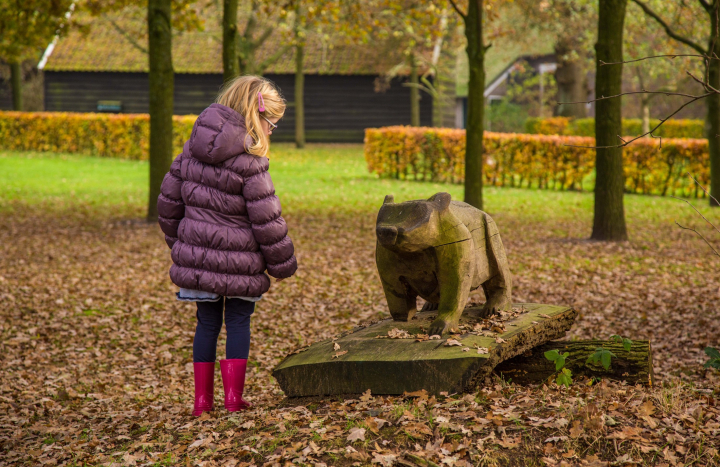 Bas de Daspad, Bennink fotografie